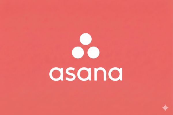 Asana defect management